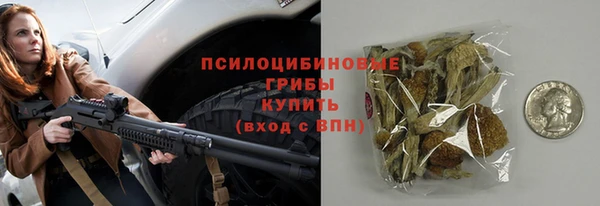 дурь Аркадак