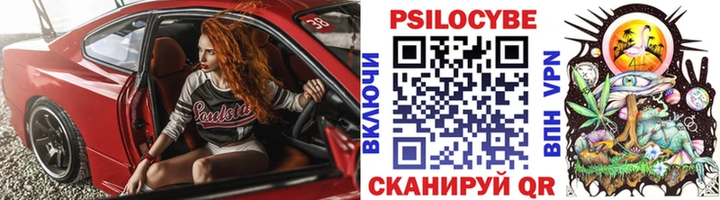 сколько стоит  Мамадыш  Галлюциногенные грибы мицелий 